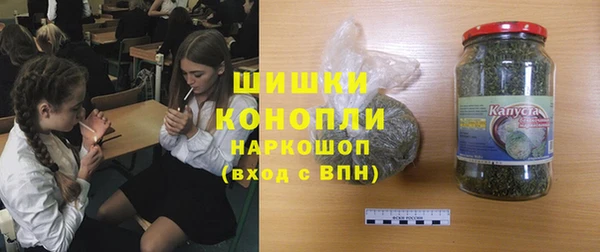 гидропоника Бородино