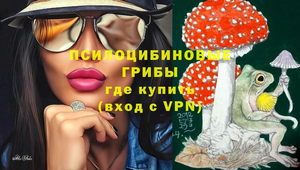 соль ск Бугульма