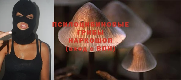гидропоника Бородино