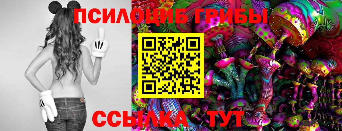 Псилоцибиновые грибы ЛСД Дагестанские Огни